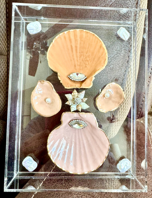 5x7 Acrylic Frame Vintage Crystal Shell Art